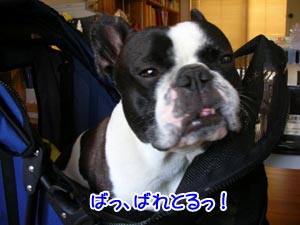 ¥à¥Ã¥«¡Á!!