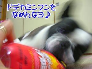 ¡´(*¡¢Ï¡®*)ŽÉ޷ެޝ޷ެ