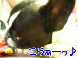 ¤³¤³¤Ç¤Ò¤Ã¤«¤«¤Ã¤¿¤«¢ö