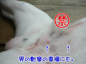 ÊѤʿޤǤ¹