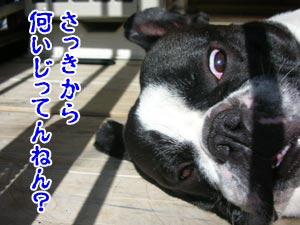 ¥Ü¥¯¤ÎÂç»ö¤ÊÉôʬ¤ò¤Ã¡ª