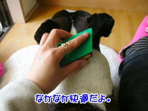 ¤½¤ÎÄ´»Ò¤Ç´èÄ¥¤Ã¤Æ¤¯¤ì¤¿¤Þ¤¨¡£