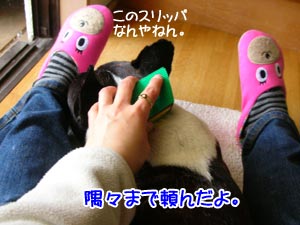 ¥Ô¥ó¥¯¤Î¥¯¥Þ¡©¡©