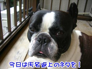 ¥¥ê¥Ã