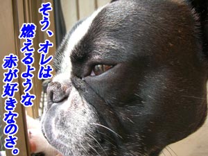 dz¤¨¤ë¤ª¤È¡Á¤³¤Î¡ÁÀÖ¤¤¥È¥é¥¯¥¿¡Á¢ö