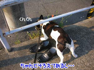 ˺¤ìʪ¤Ç¤â¤Ê¤µ¤½¤¦¤ä¤·¡¦¡¦¡¦