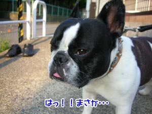 ¦²(¡¦¢Ï¡¦|||)޹ŽÞޝ!!