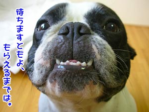 ÂԤƤΤȤ¤Ï¡Ö¥Þ¥ë¥³¥á·¯¡×¤Ë¤Ê¤ë¤ó¤ä¤Ç¤§