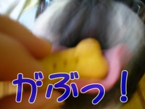 ޹ŽÞ¨¬¨¬¨¬¨¬¨¬(¦Ò¡¦¢Ï¡¦)¦Ò¨¬¨¬¨¬¨¬¨¬Ž¯ŽÂ!!!!