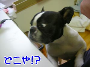 ¤¢¤ä¤·¤¤¡¦¡¦¡¦¡ª