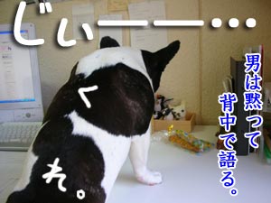 ̵ ¸À ¤Î Í× µá
