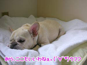 µ¤¤Ë¤¤¤Ã¤Æ¤â¤é¤¨¤Æ²¿¤è¤ê¤Ã¤¹¢ö