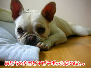 ¤ª¤Â¤µ¤ó¤Ã¤¿¤é¡ª
