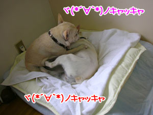 ¤¦¤ª¤©¤©¤©