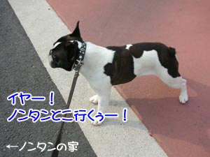 Ä«¤«¤é°ì½ï¤ËÍ·¤Ö¤Í¤ó¡¼¡ª
