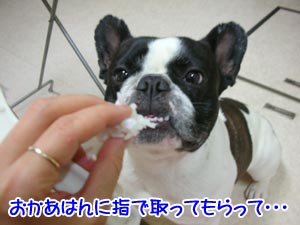 ¡ÖÂԤơפÏû¤á¤Ë¡£