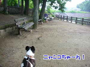 µ×¤·¤Ö¤ê¡Á¢ö