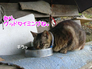 ¤¢¤ó¤¿¡¢ºÇ¶á¤ä¤ë¤¸¤ã¤Ê¤¤¡£