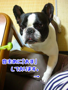 ¤¢¤¯¤Þ¤Ç¤â¤ª¹Ôµ·¤è¤¯¡£