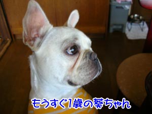 ¤¤¤Ä¤Ç¤â¸µµ¤¤¤¤Ã¤Ñ¤¤¡ª