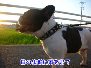¤µ¤ï¤ä¤«¤Ê´¶¤¸¤Ê¤ó¤Ç¤¹¤¬