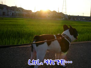 ¥³¥ó¥¯¥ê¡¼¥È¤ÏÎ䤿¤¤¤±¤É