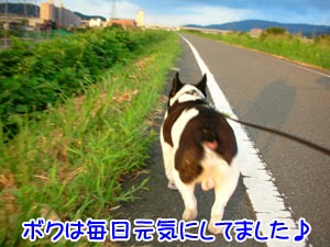 ¥¿¥Þ¥¿¥Þ¤Á¤ã¤ó¤â¸µµ¤¤Ç¤¹¢ö