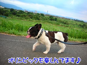 ¤¬¤ó¤Ð¤ì¡¢¥Ë¥Ã¥Ý¥ó¡ª