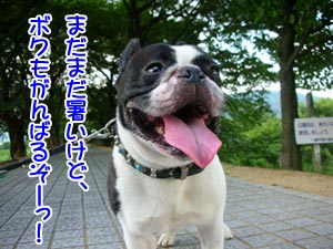 É餱¤Ø¤ó¤Ç¡¼¡ª