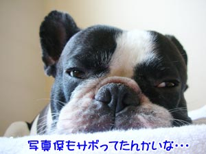 ¤¢¤ó¤Ê¤Ë³Ú¤·¤¤°ìÆü¤ò¡Ä(¡¡¡®_¡µ¡)ŽÑޝ