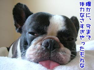 ¤¹¤°¥Õ¥é¥Õ¥é¤Ë¤Ê¤Ã¤Æ¤¿¤â¤ó¤Ê¡£