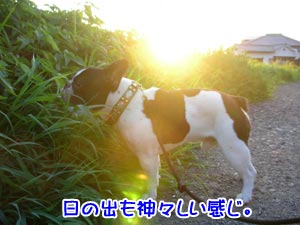 ½ë¤¯¤¢¤ê¤Þ¤»¤ó¡£