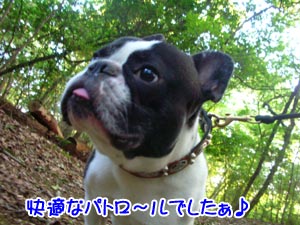 µ¤»ý¤Á¤¨¤¨¤Ê¤¡¢ö