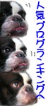 ¿Íµ¤¥Ö¥í¥°¥é¥ó¥¥ó¥°