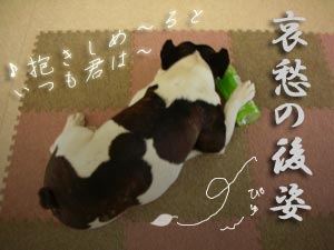 ¢ö¥×¥ê¡Á¥º¥«¥à¥Ð¥Ã¥¯¥È¥¥¡Á¥ß¡Á