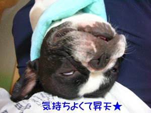 µ¤»ý¤Á¤¨¤¨¡Á¡Á¡Á¡Á