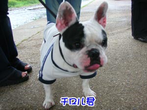 ¥Á¥í¥ë·¯