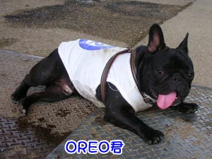 OREO·¯