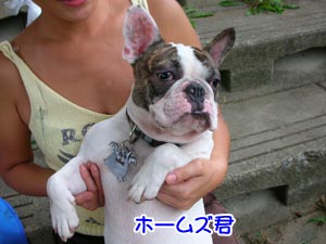 ¥Û¡¼¥à¥º·¯