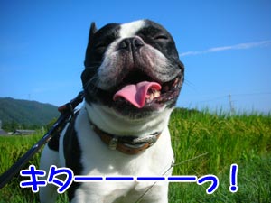 ¿¥ÅÄ¡ûÆó¡©