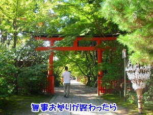ÎФȼ뿧¤Î¥³¥ó¥È¥é¥¹¥È¤¬¤¤ì¤¤¤Ç¤¹¡£