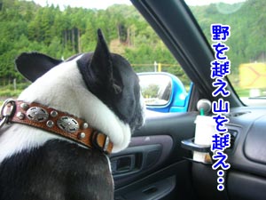 µ×¡¹¤Î¥í¥ó¥°¥É¥é¥¤¥Ö¤Ç¤¹¤¥¡Á¢ö