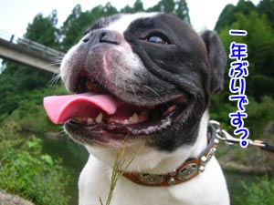 µ×¤·¤Ö¤ê¤ä¤¬¤Ê¡Á¡ª