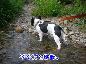 Î䤨¤¿¡¢Î䤨¤¿¡¢¤È¡£