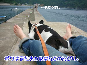 ¤ä¤ì¤ä¤ì¡¢¤È¡£