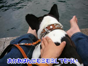 ¤¤¤Ä¤â¤Î¤è¤¦¤ËÍê¤à¤è