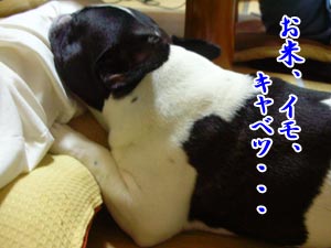 ¥Ü¥¯¤¬¿©¤Ù¤é¤ì¤ë¤Î¤¤¤Ã¤Ñ¤¤¤¢¤ë¤ä¤ó¡ª