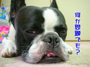 ¥Á¥é¥Ã