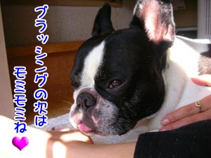 ¼ê¤Ç¤ä¤µ¤·¤¯¤Í¡£