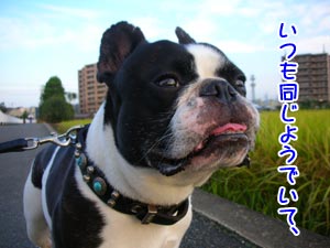 ¤µ¤ï¤ä¤«¤Ç